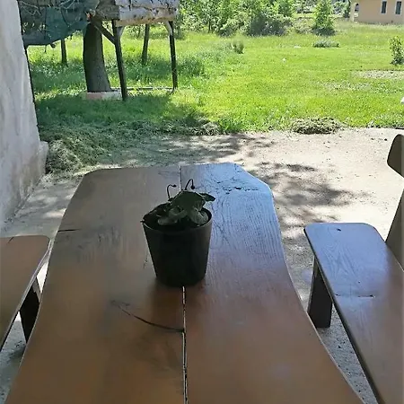 Big Unique App Near Rabac *
