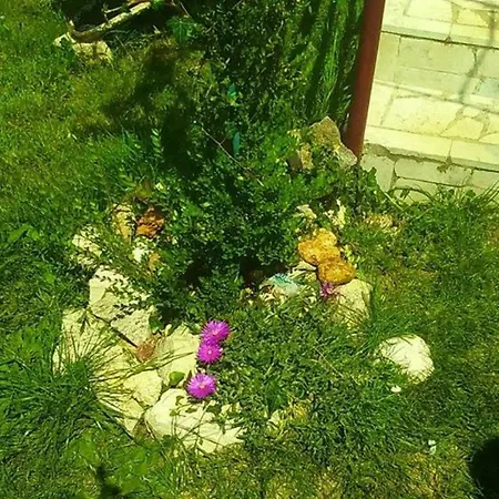 Big Unique App Near Rabac * Labin